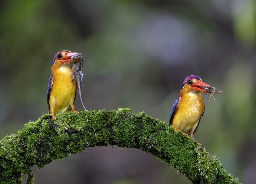 Photograph by Gurvinder Chhabra