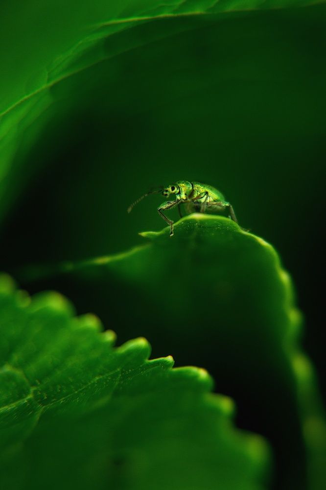 Photograph by Юлия Яровая