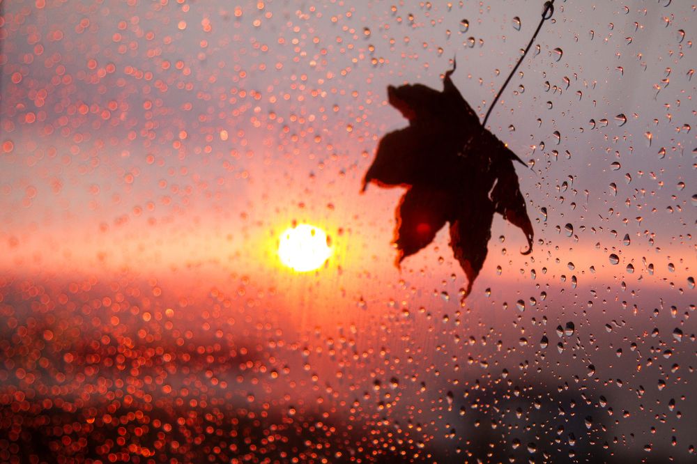 Photograph by Мария Маркина