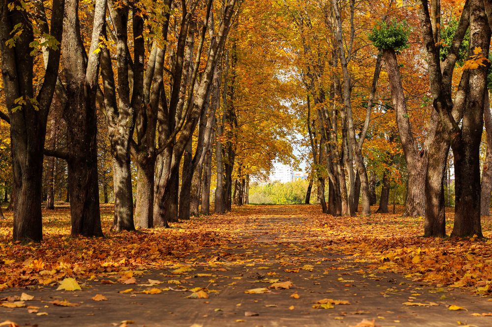 Photograph by Евгений Белов