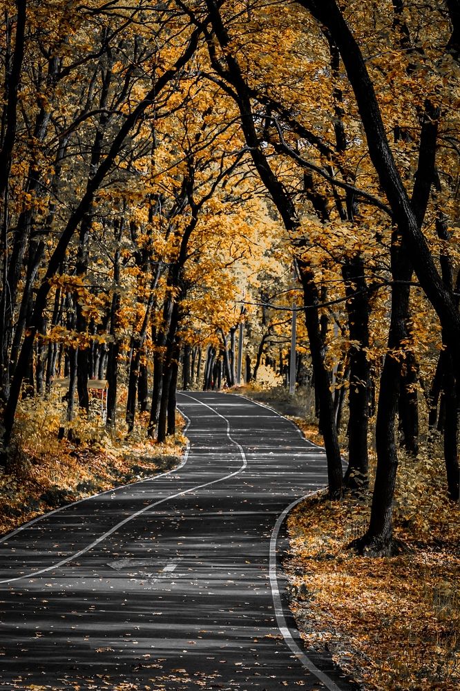 Photograph by Андрей Потапов