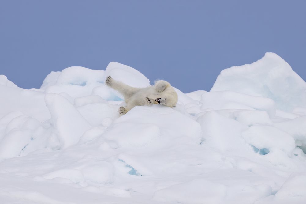 Photograph by Nancy Koch