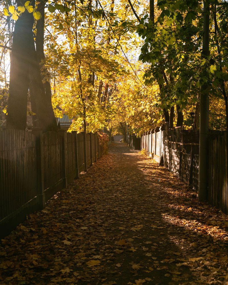 Фотография автора Кирилл Литовский