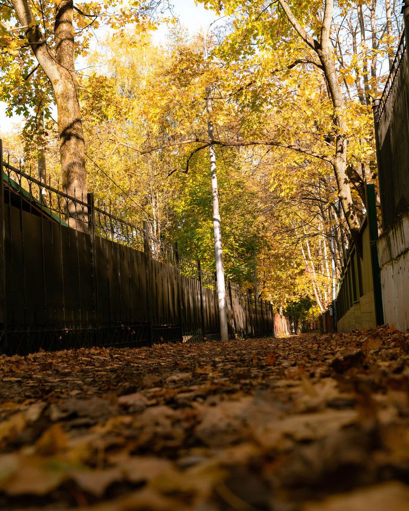Фотография автора Кирилл Литовский