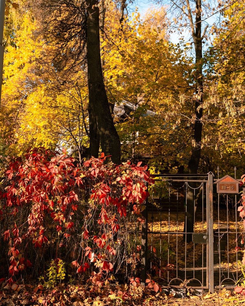Фотография автора Кирилл Литовский