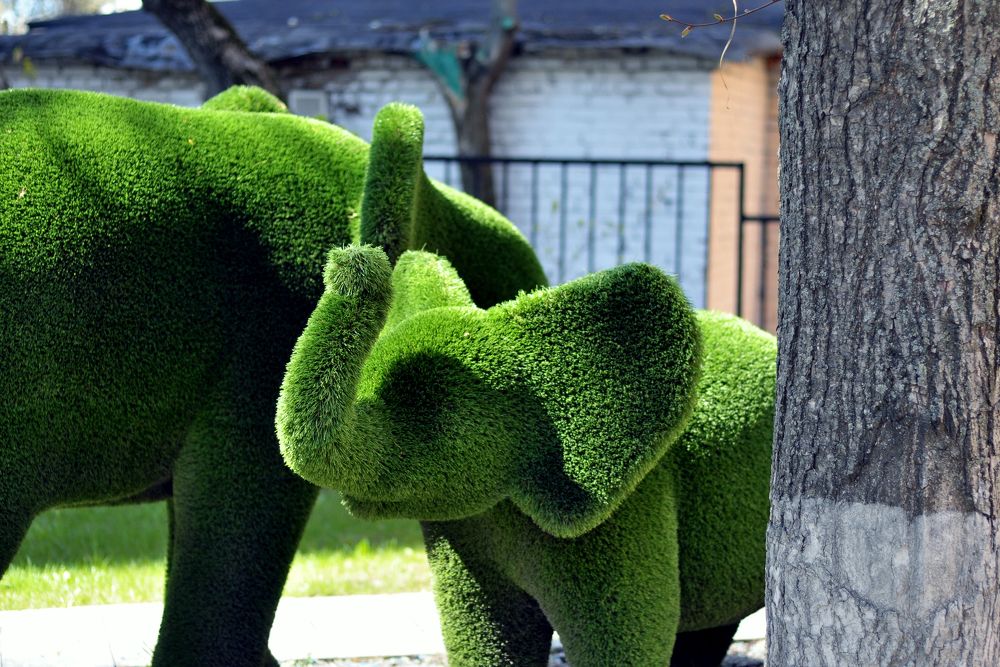 Photograph by Юлия Лис-а