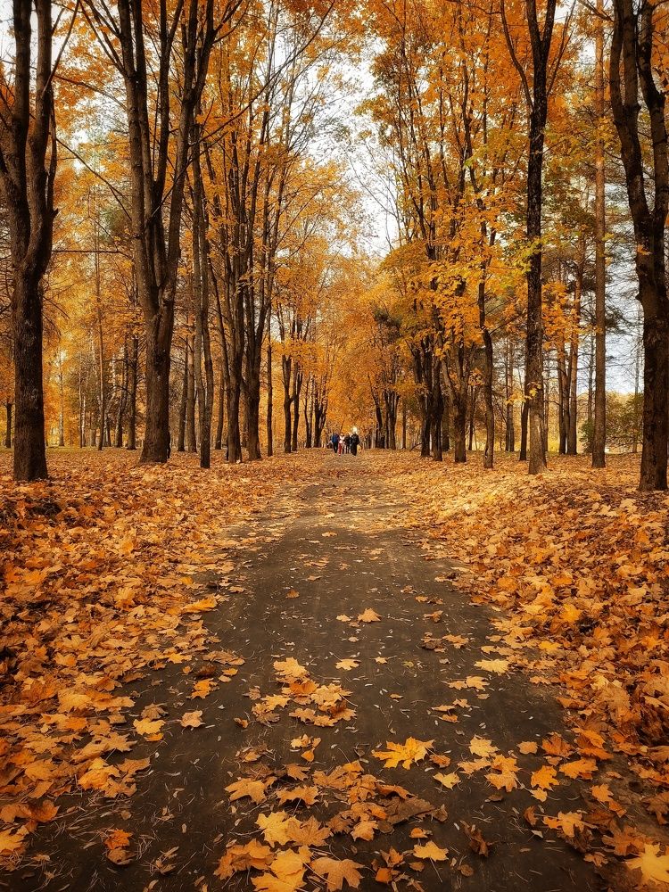 Photograph by Евгений Белов