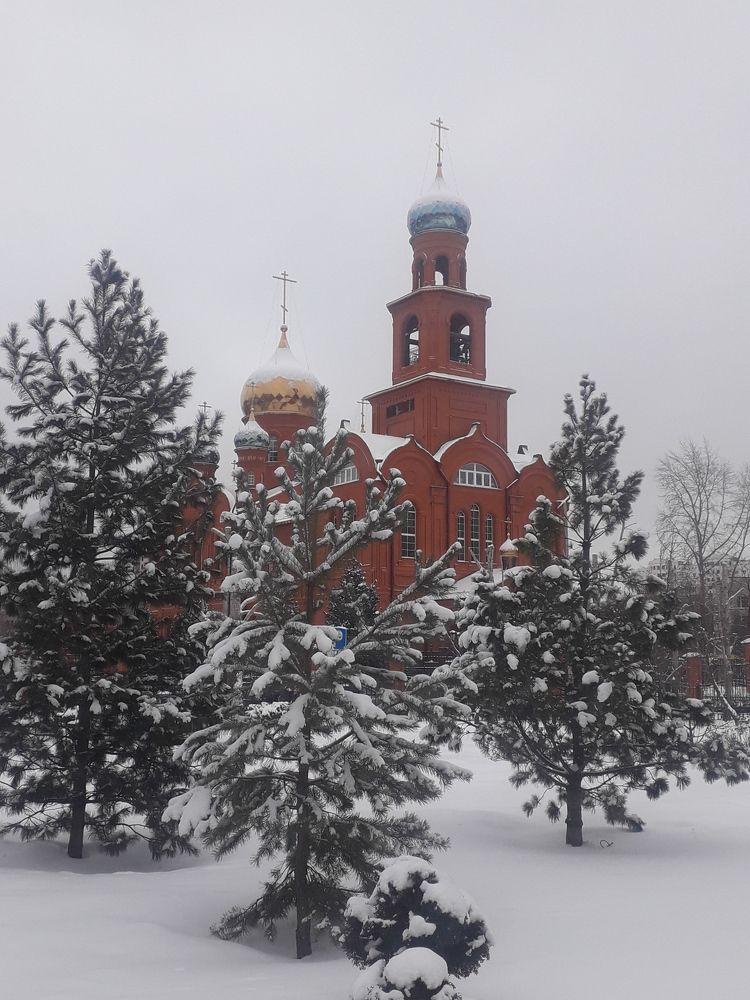 Photo #8151573
