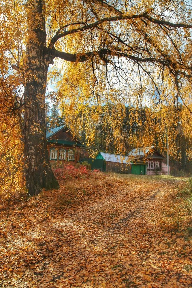 Осеннее убранство.