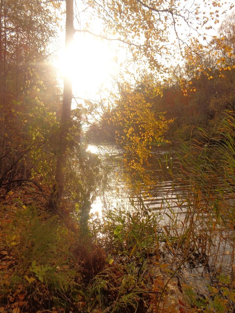 Photograph by Георгий Салюков