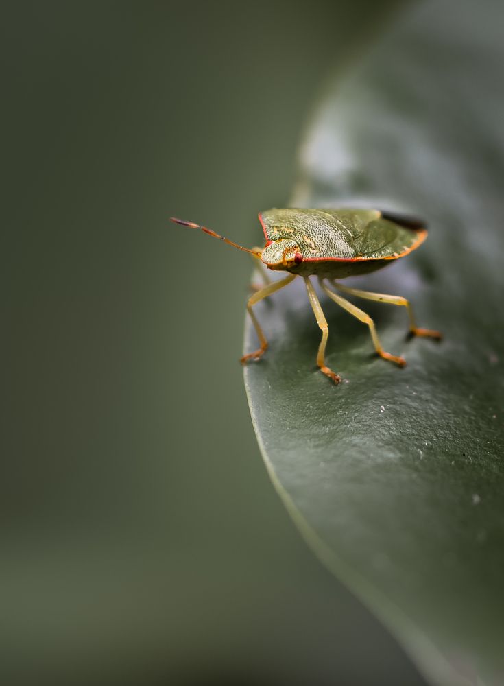 Photograph by Неля Рачкова