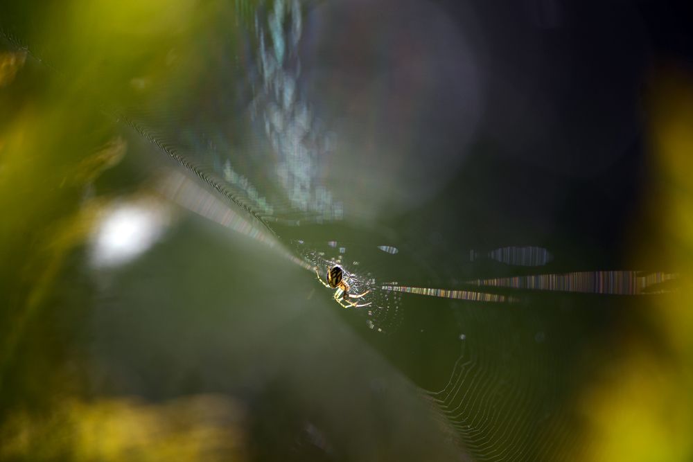 Photograph by Неля Рачкова