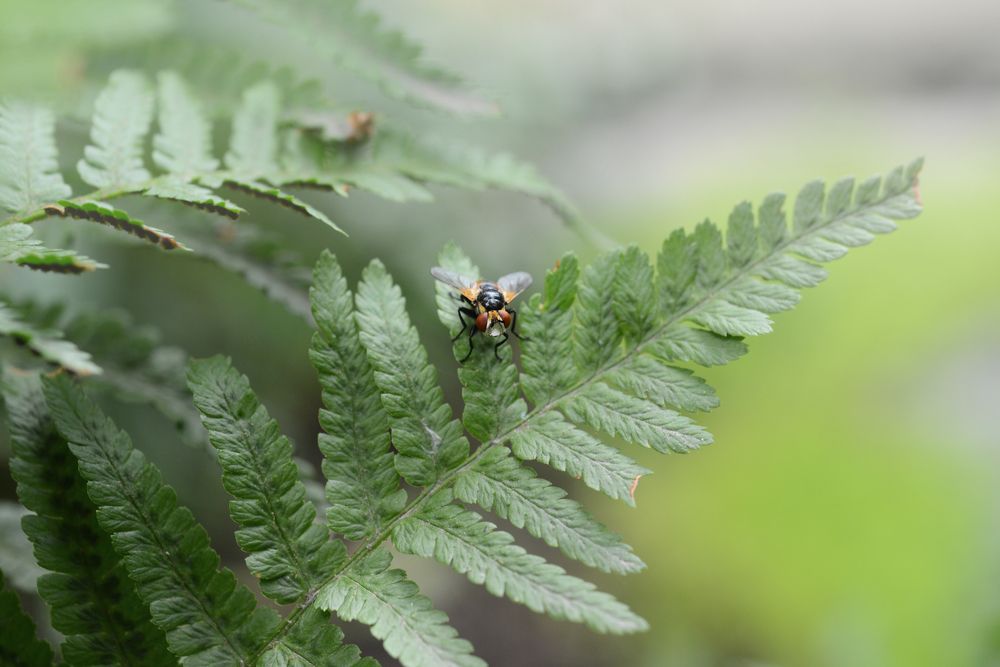 Photograph by Неля Рачкова