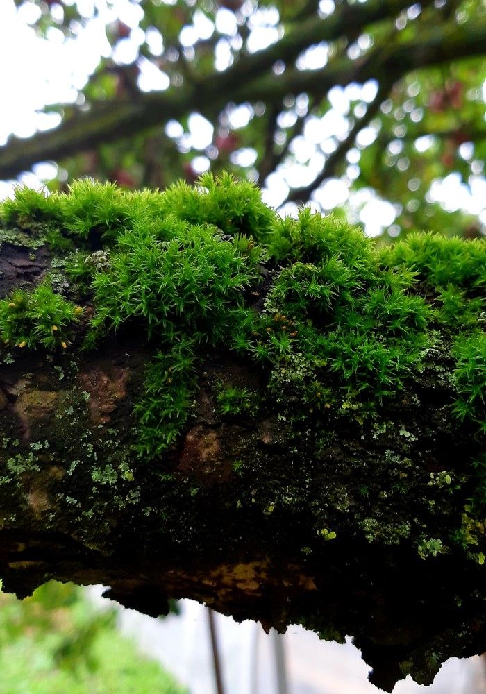 Фотография автора Ирина Лукьянчик