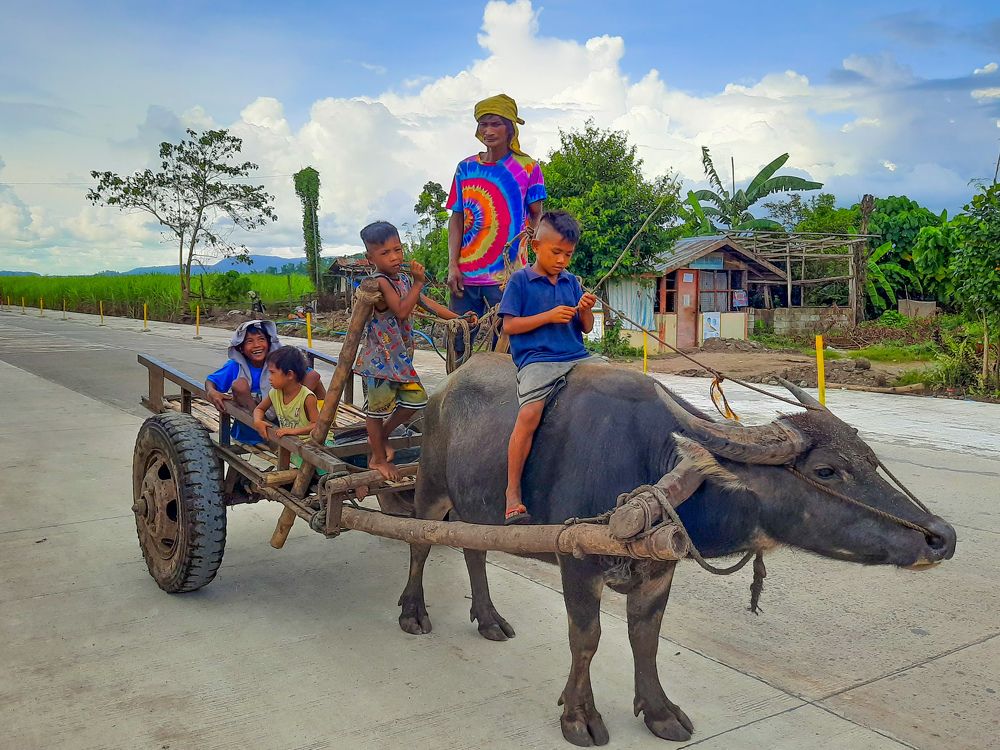 Photograph by Andrew Altarejos