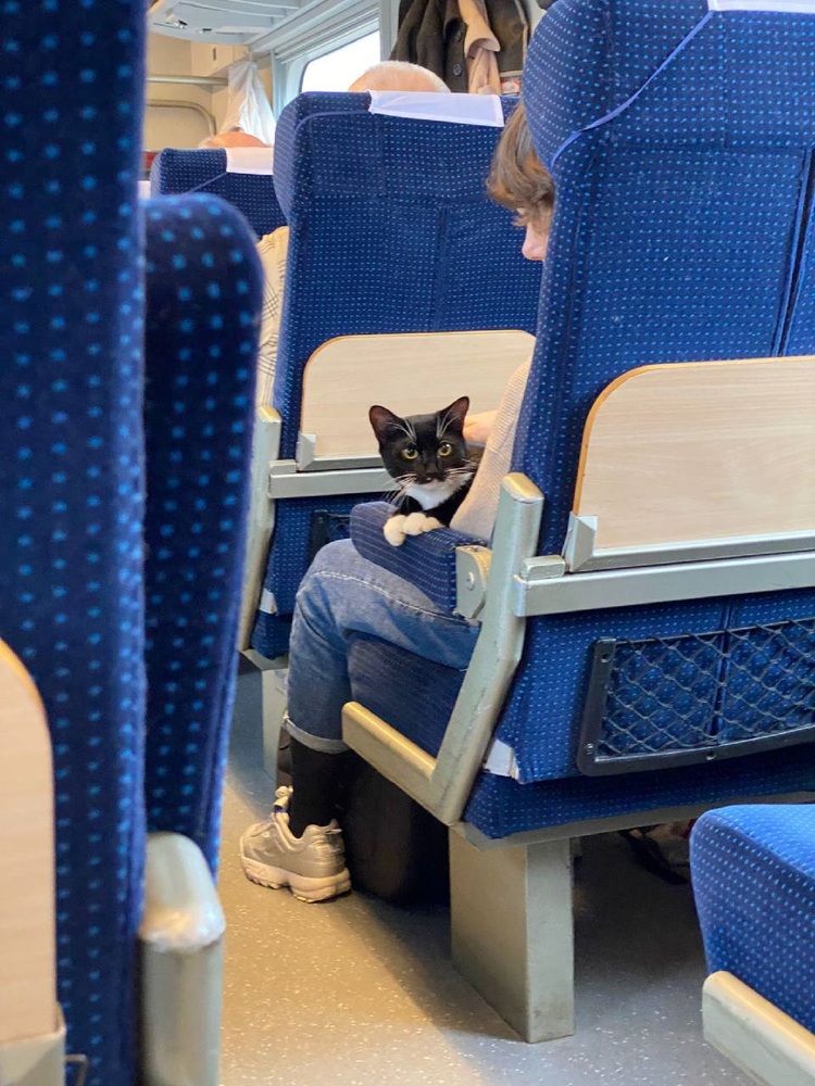 Фотография автора Ирина Лукьянчик