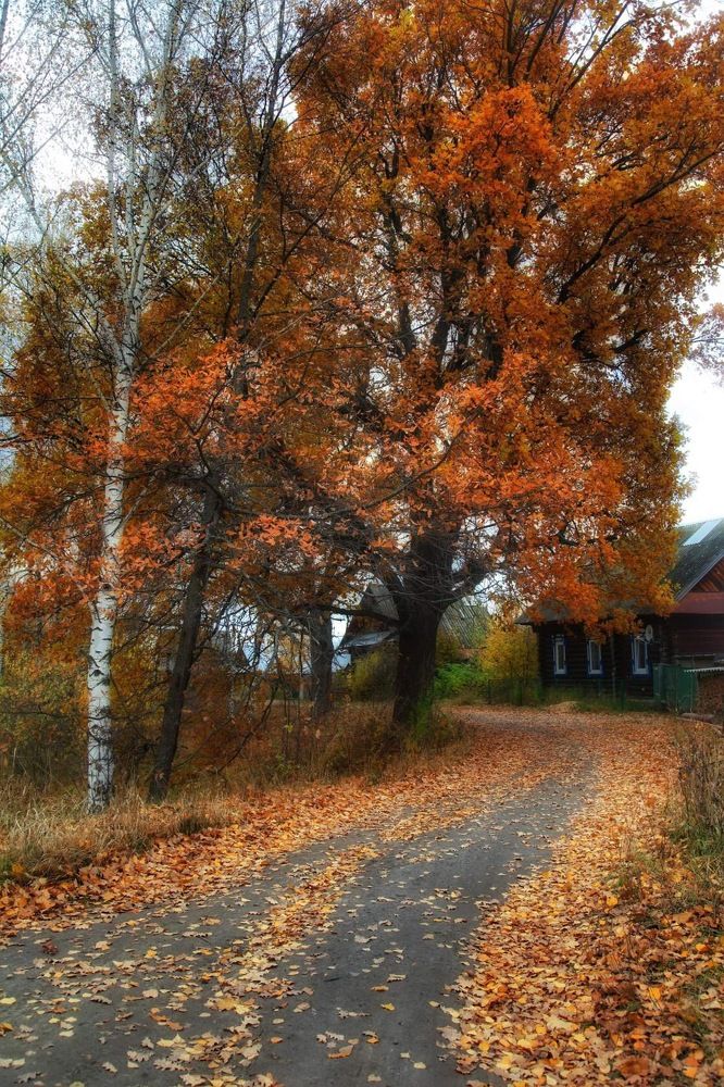 Photograph by Анастасия