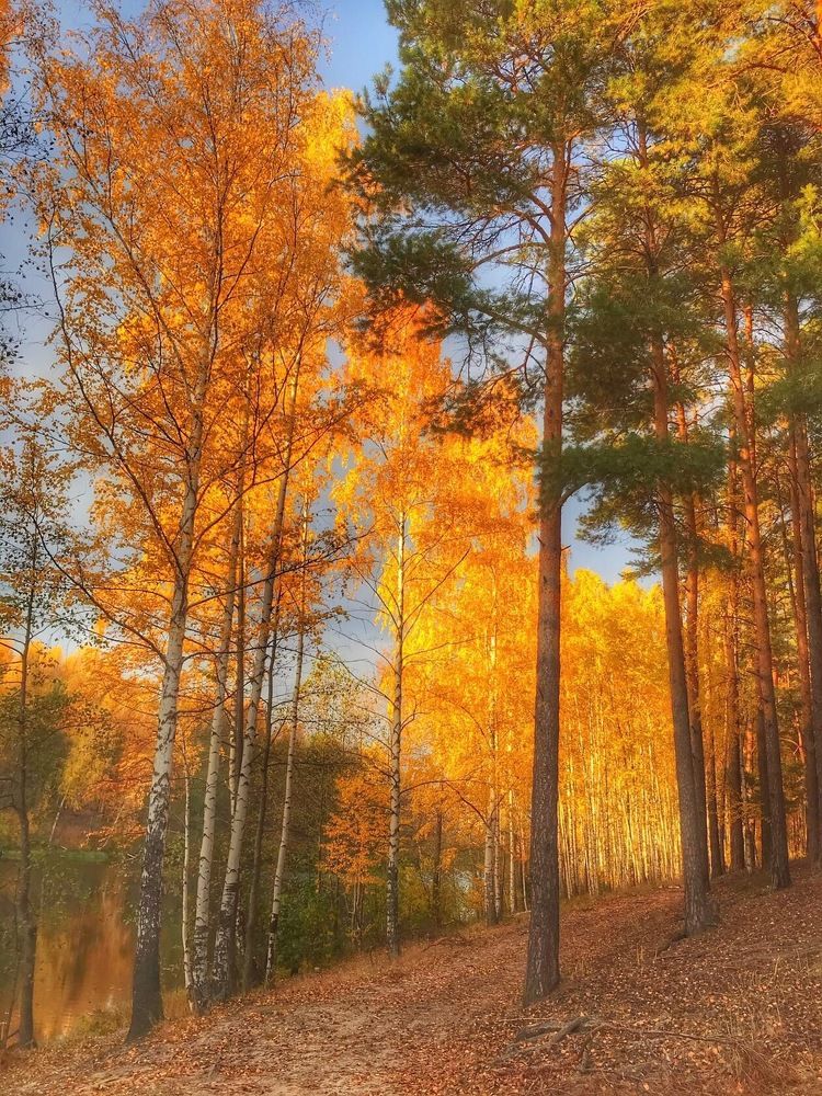 Photograph by Анастасия