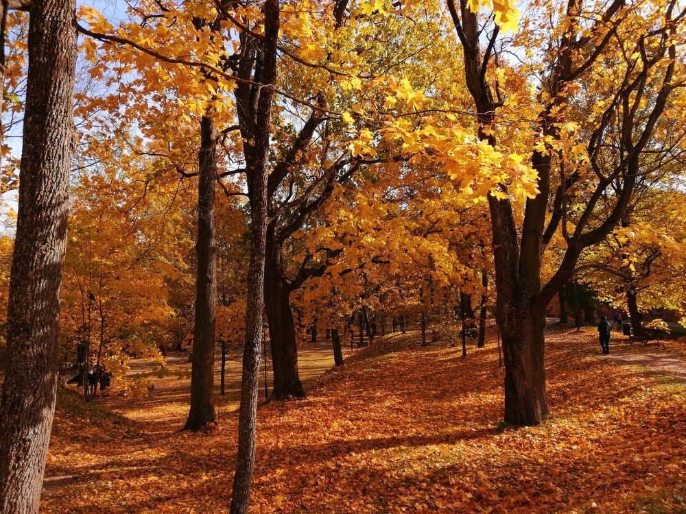 Photograph by Михаил Кушнарёв