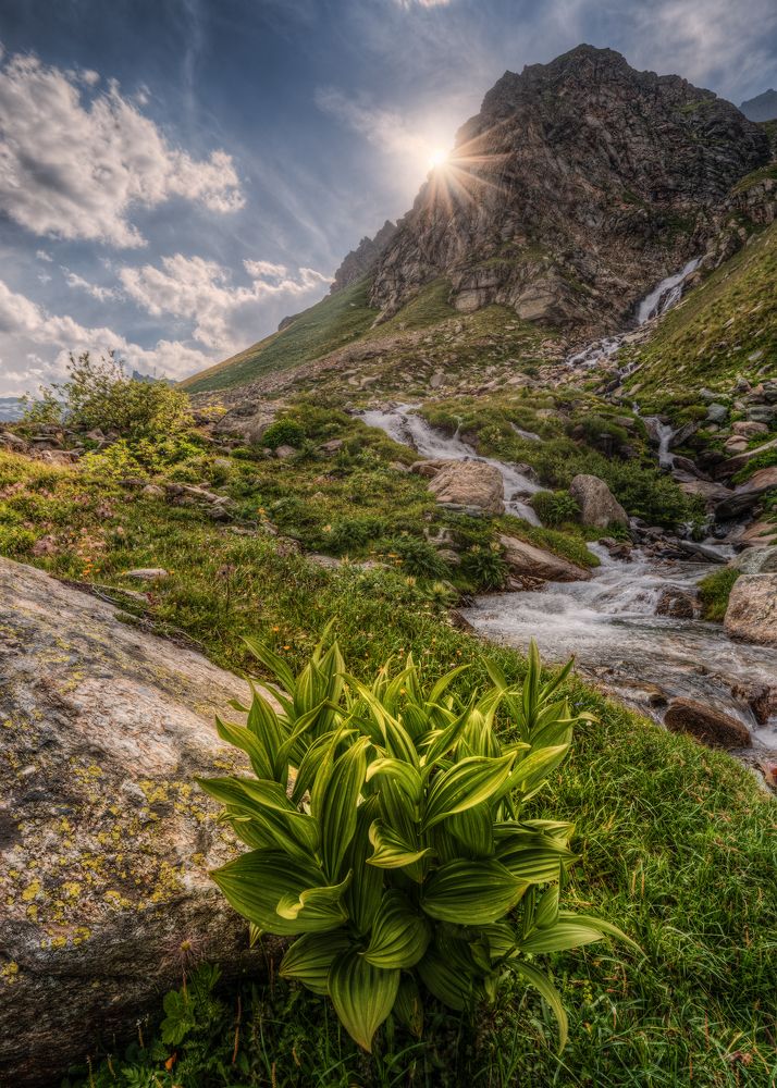 Photograph by Davide Giacobbe