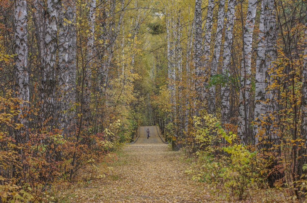 Photograph by Михаил Измайлов