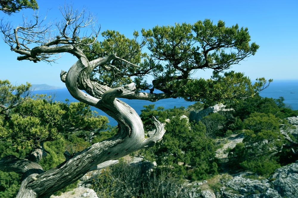 Photograph by Юрий Тараненко