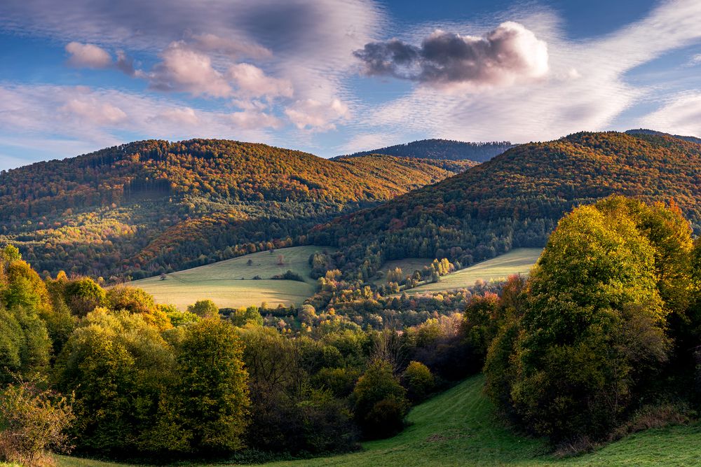 Фотография автора Alena Geršičová