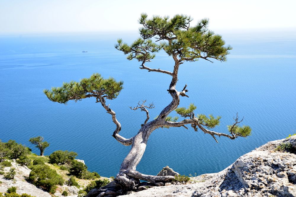 Photograph by Юрий Тараненко