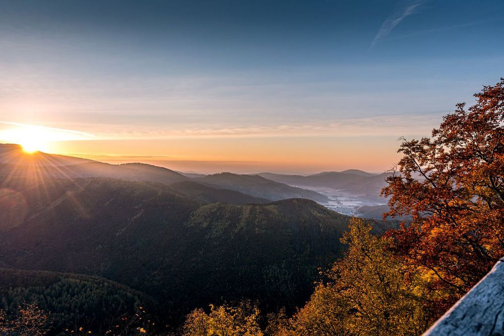 Фотография автора Alena Geršičová