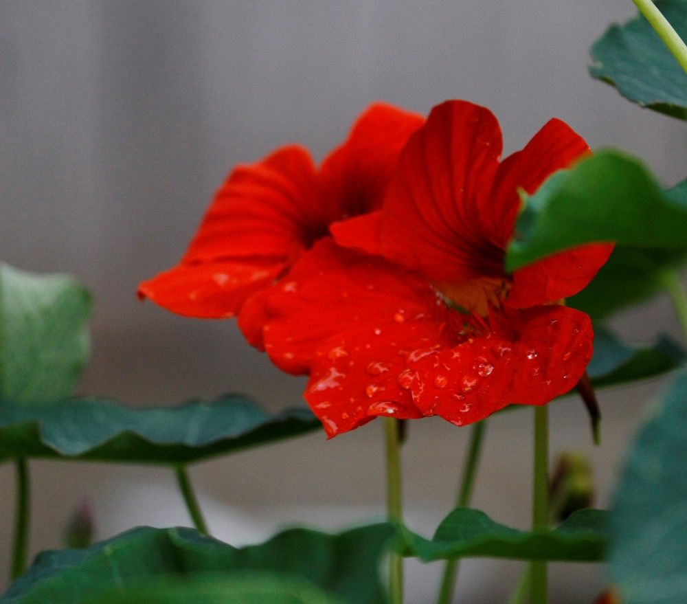 Photograph by Елена Федорова