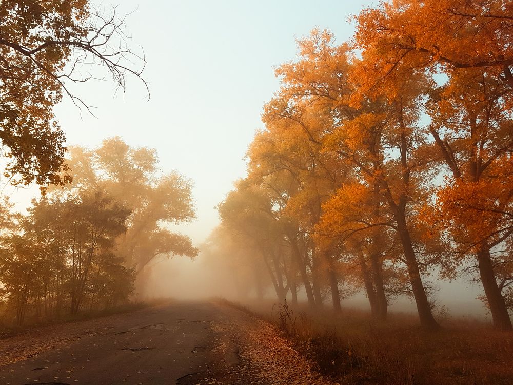 Photograph by Volkova Nataliia