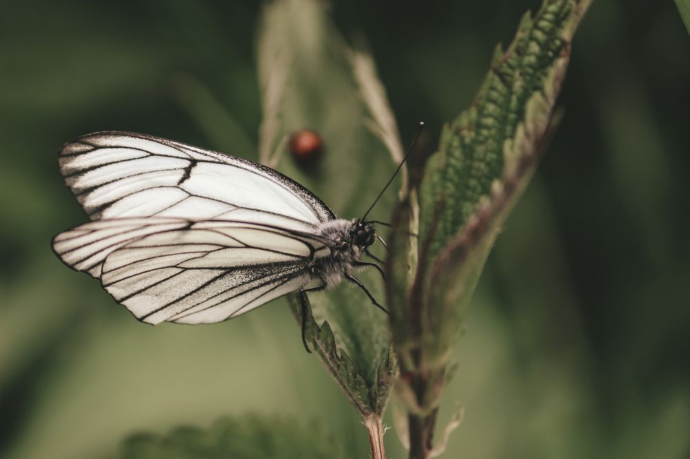 Photograph by Елена Федорова