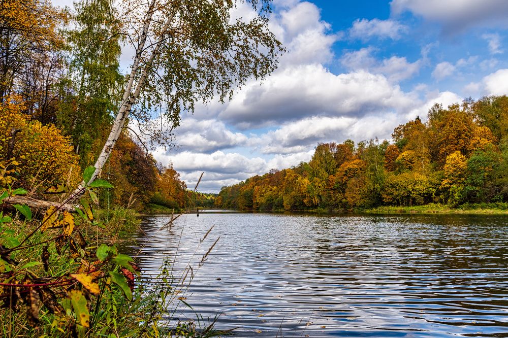 Photograph by Валерий Петухов