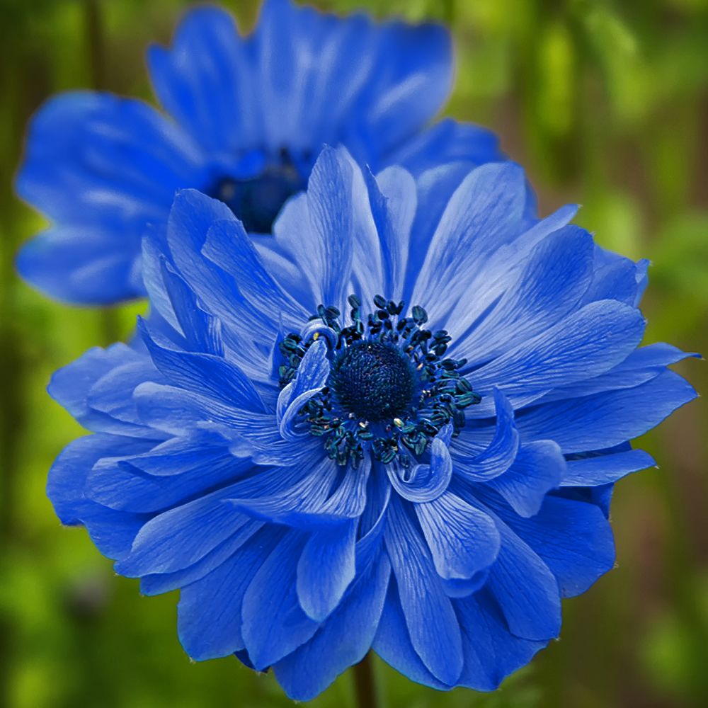 Photograph by Клясюк Галина