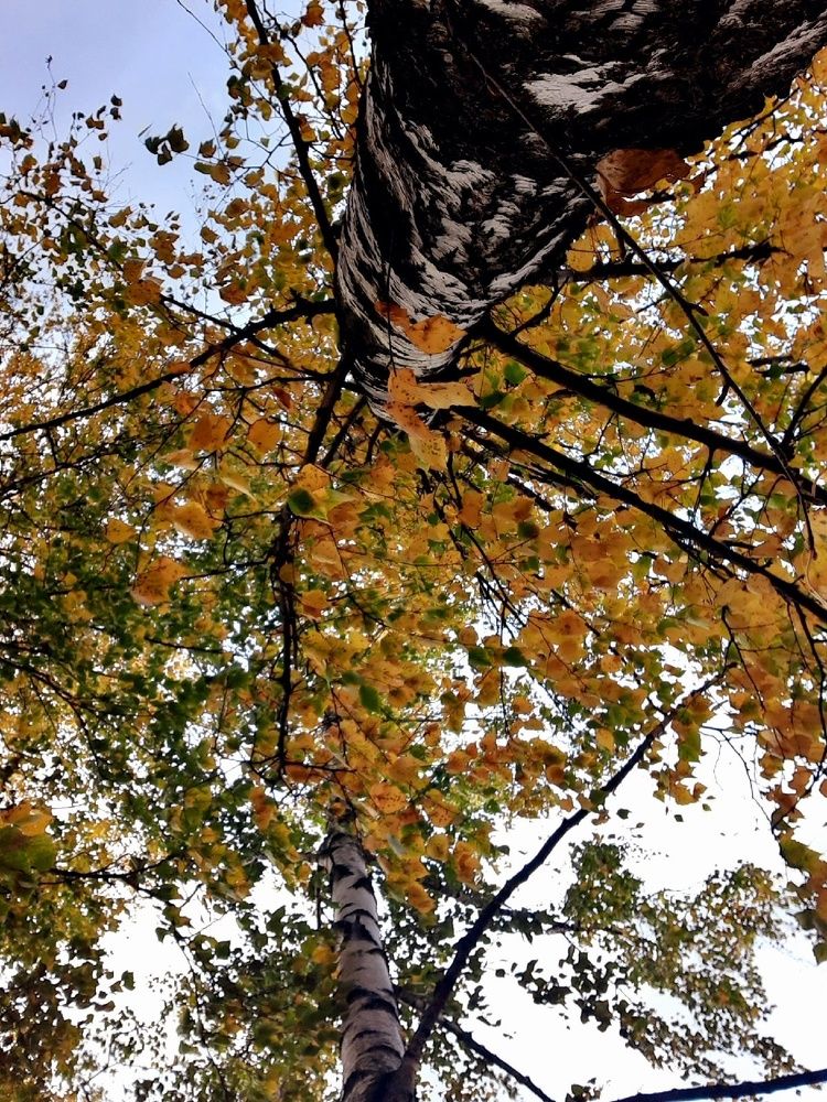 Photograph by Евгения Ульянова