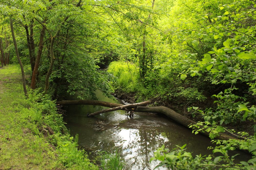 Photograph by Елена Кузнецова