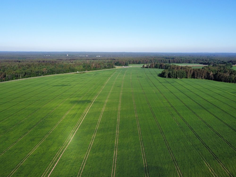 Photograph by Андрей Нурулин