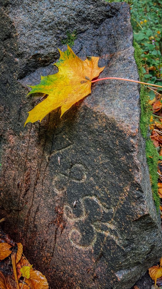 Photograph by Юлия Пыльцева