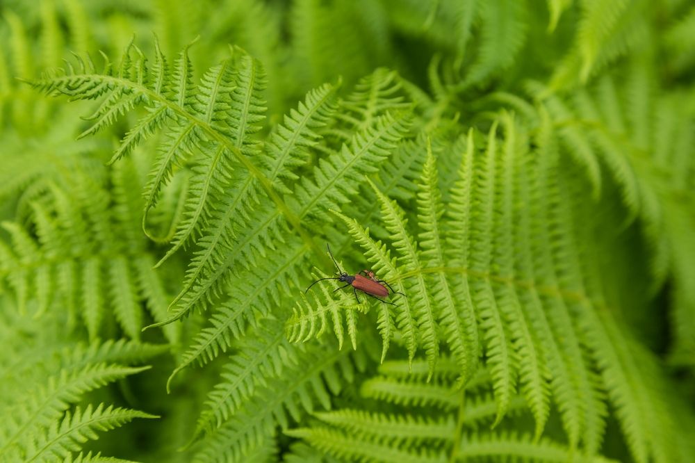 Photograph by Надежда Баркова