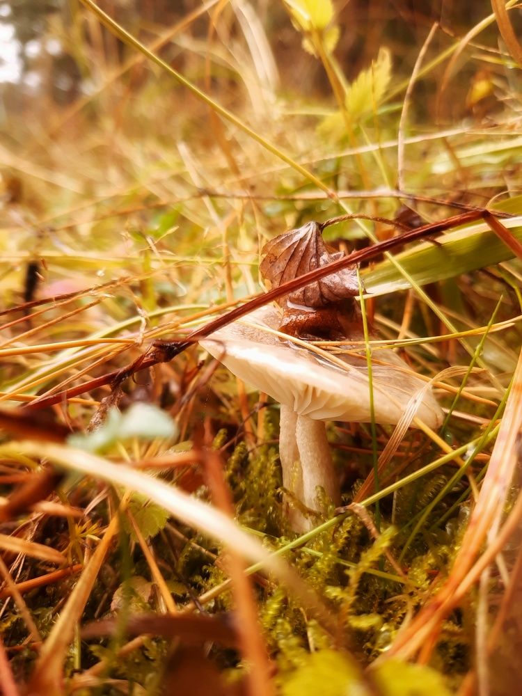 Photograph by Ольга