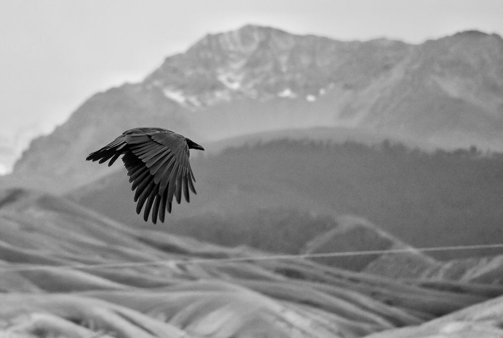 Photograph by Александр Литвиненко