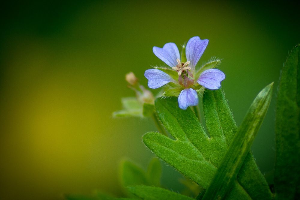 Photograph by Александр Войтко