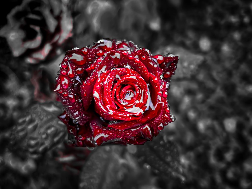 Photograph by Никита Борзов