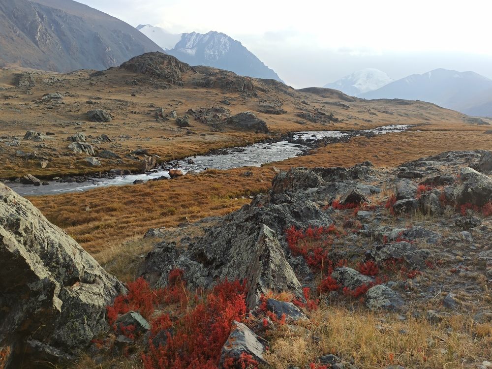 Photograph by Людмила Фурсова