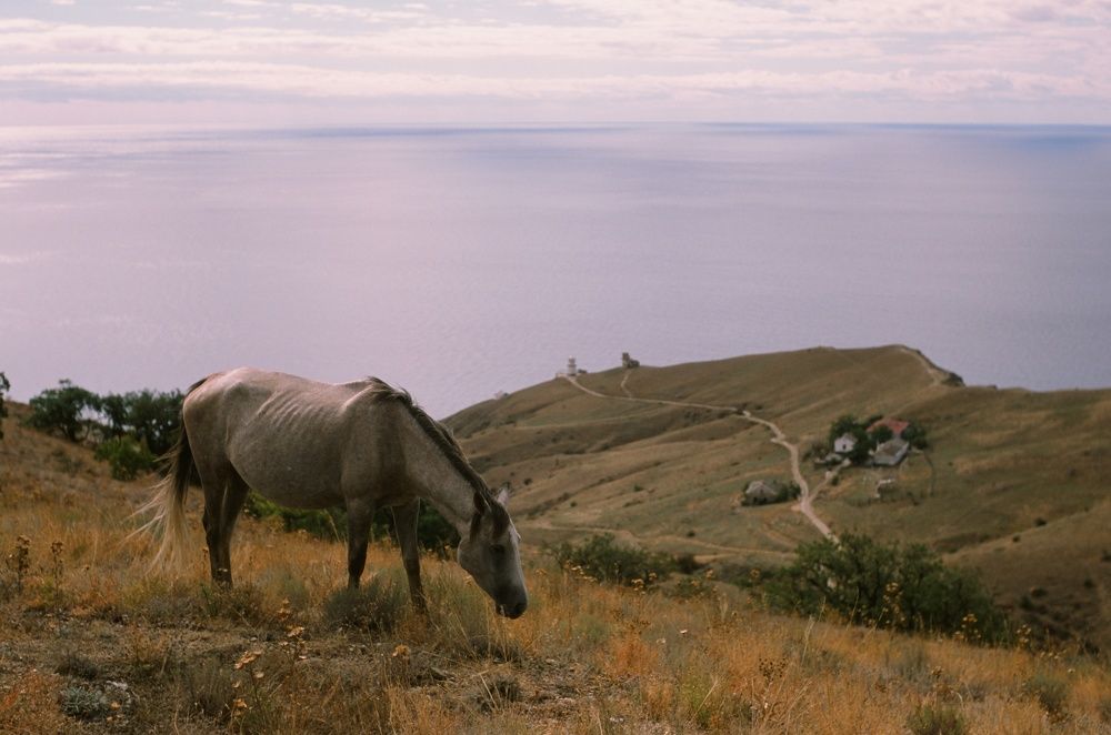 Photograph by Василий Селиванов
