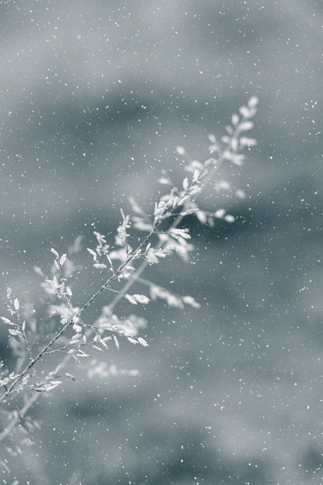 Photograph by Jai Shankar Chirivella