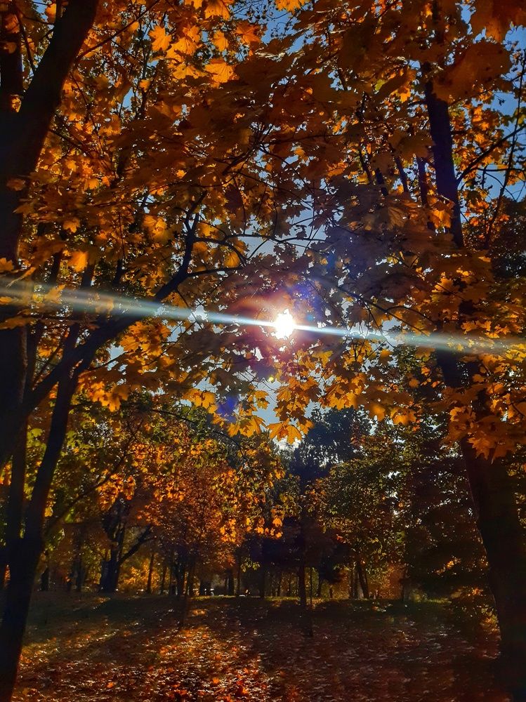 Photograph by Александра Кропивка