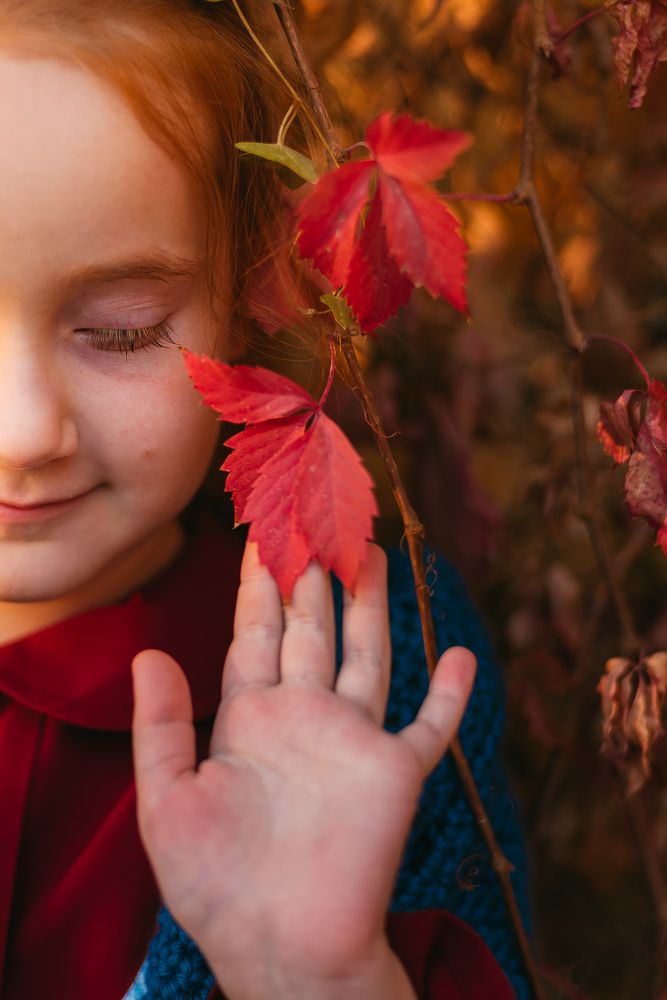 Фотография автора Дарья Шевченко