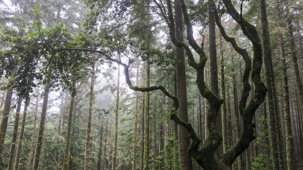 Photograph by Константин