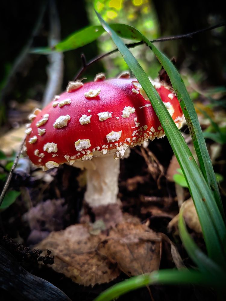 Photograph by Екатерина Слепнева